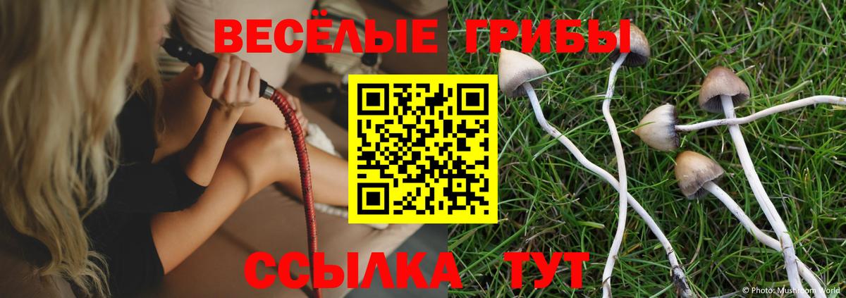 Псилоцибиновые грибы MAGIC MUSHROOMS Ленинск-Кузнецкий
